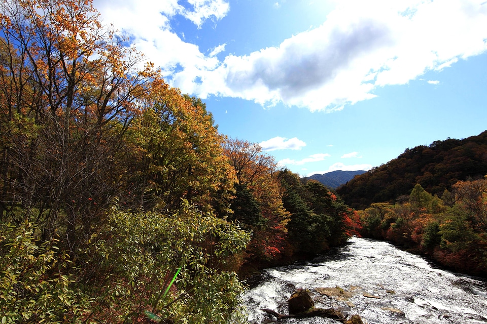 Autumn autumn season beautiful photo