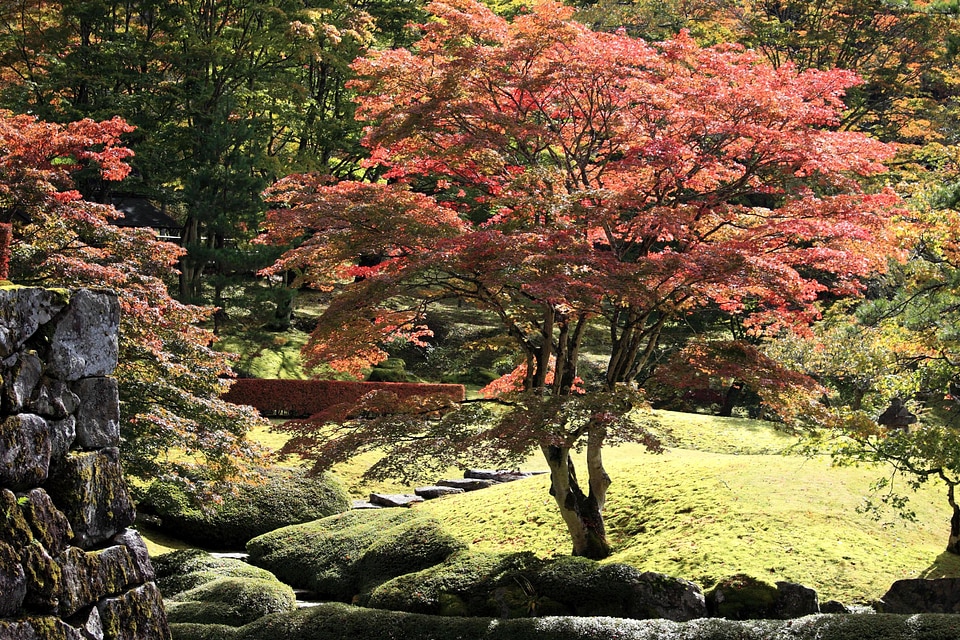Autumn autumn season branch