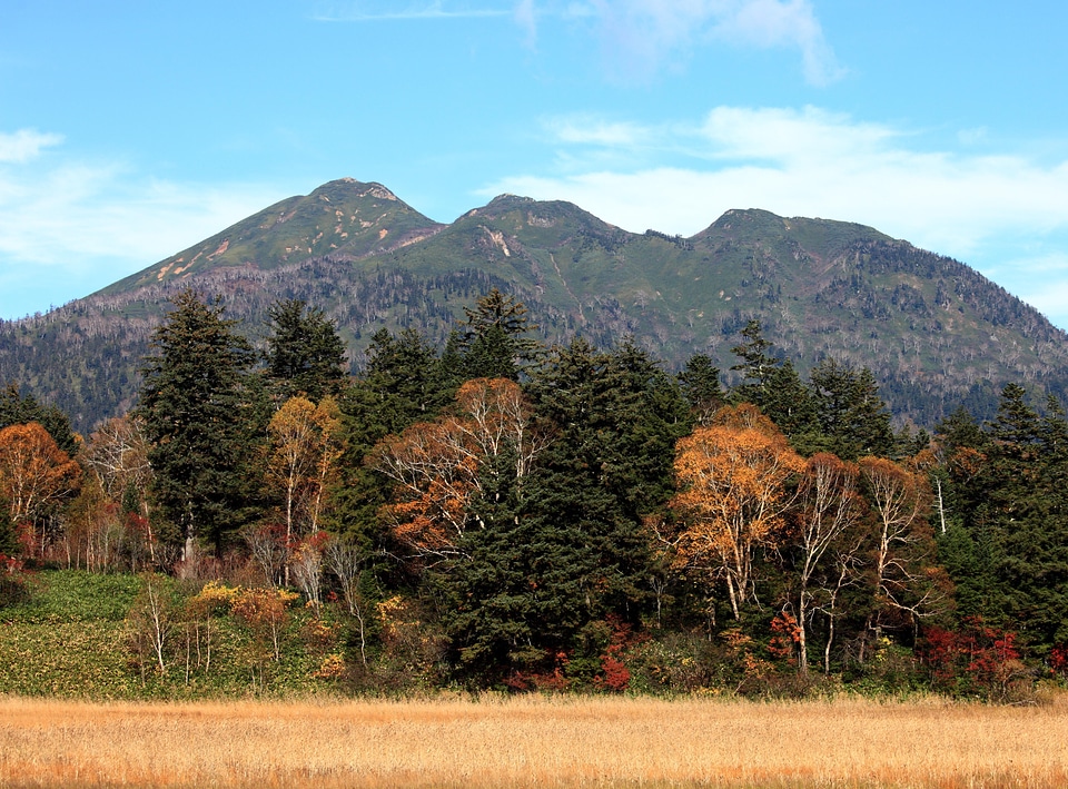Autumn countryside forest