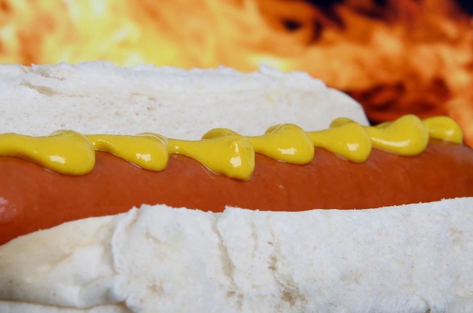 Delicious diet food