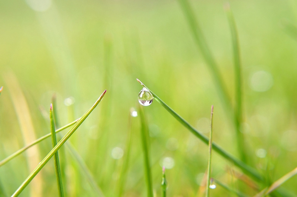 Drop rain water