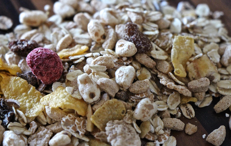 Breakfast cereal corn