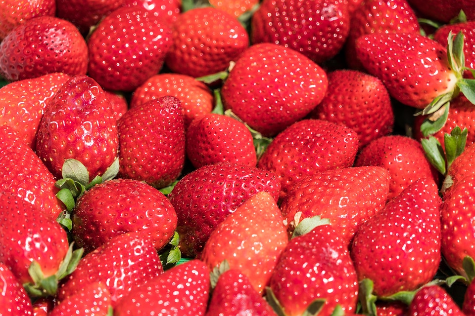 Agriculture antioxidant berries