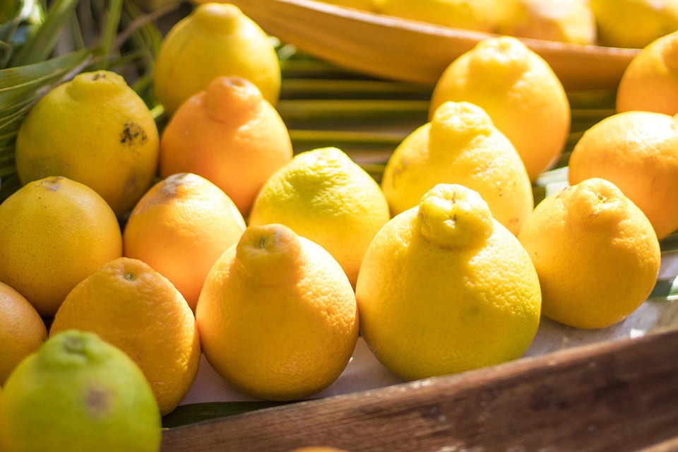 Diet dietary food