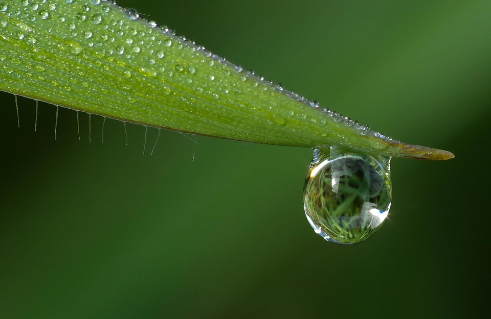 Arthropod beautiful image beautiful photo