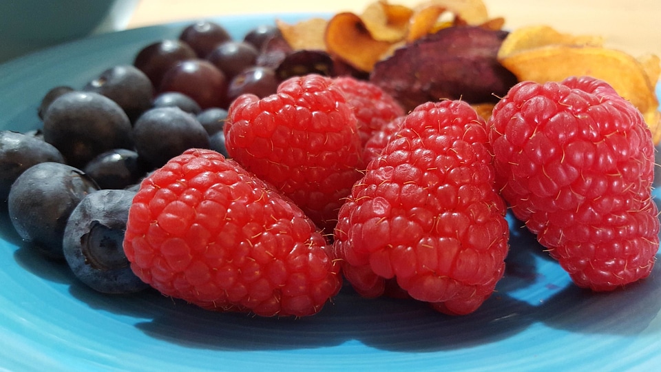 Berries berry blackberry photo