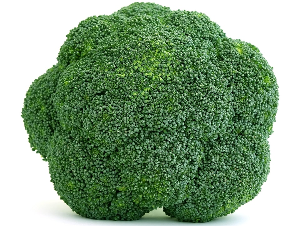 Broccoli dark green delicious