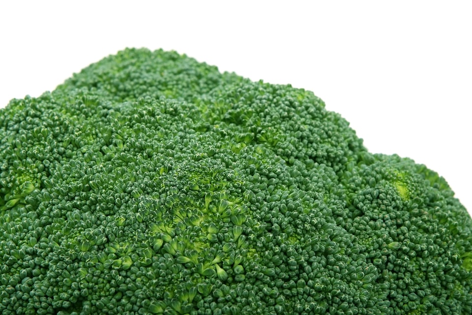 Broccoli dark green delicious