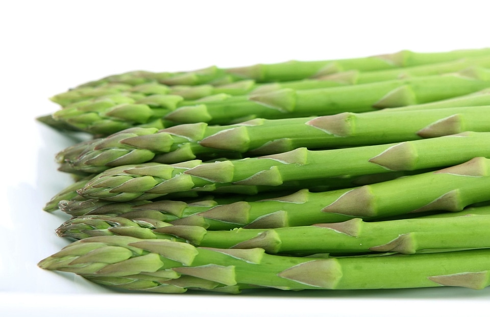 Agriculture asparagus dark green