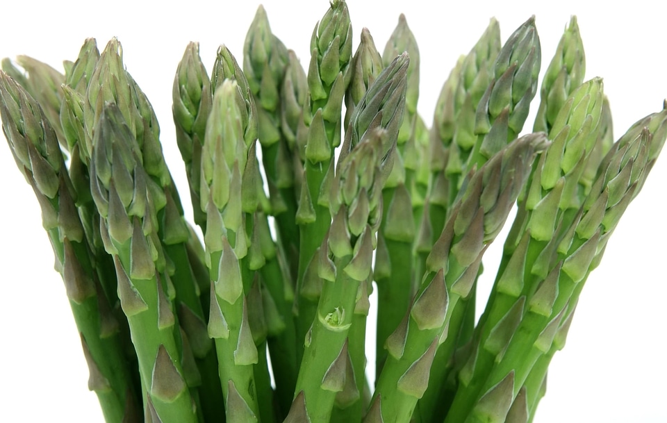 Asparagus dark green diet