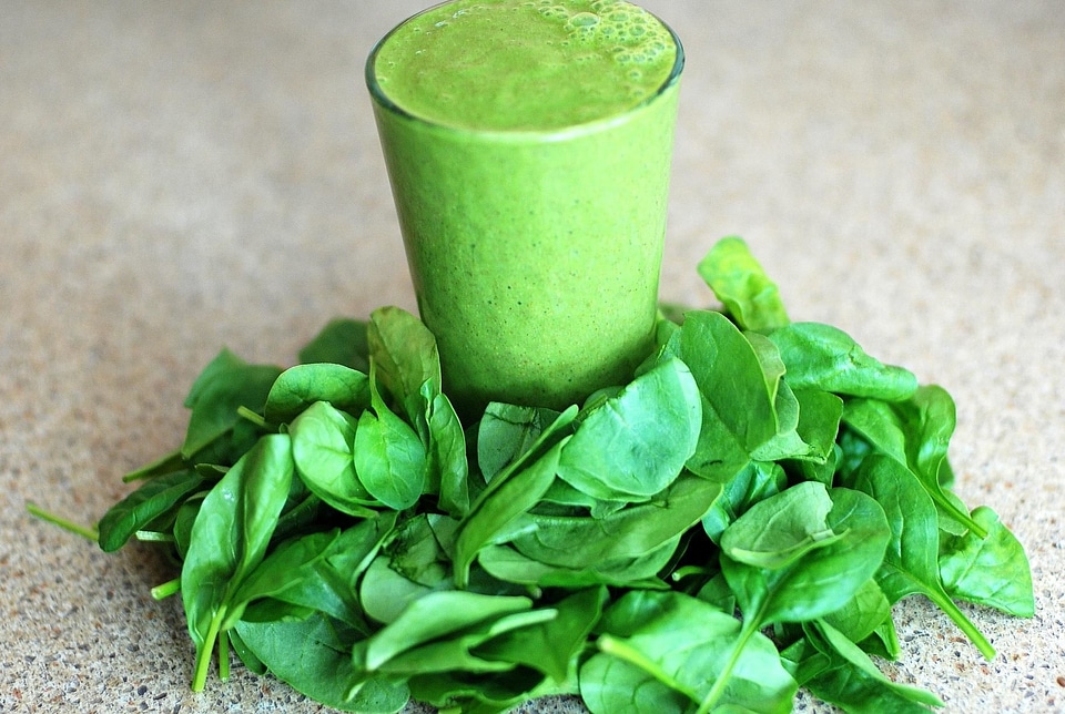 Basil beverage calorie