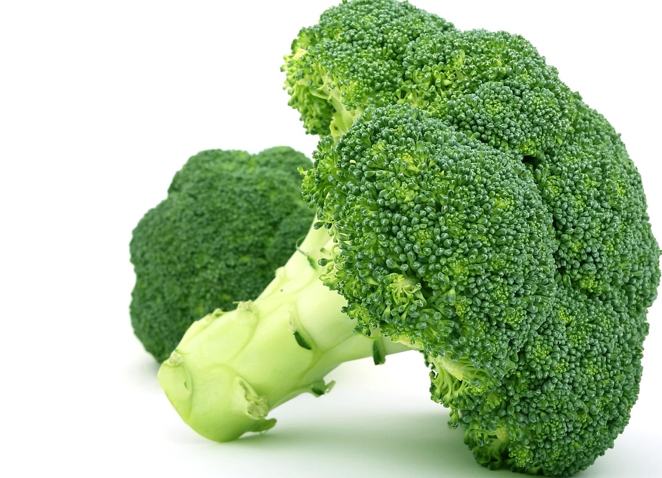 Beautiful Photo broccoli dark green