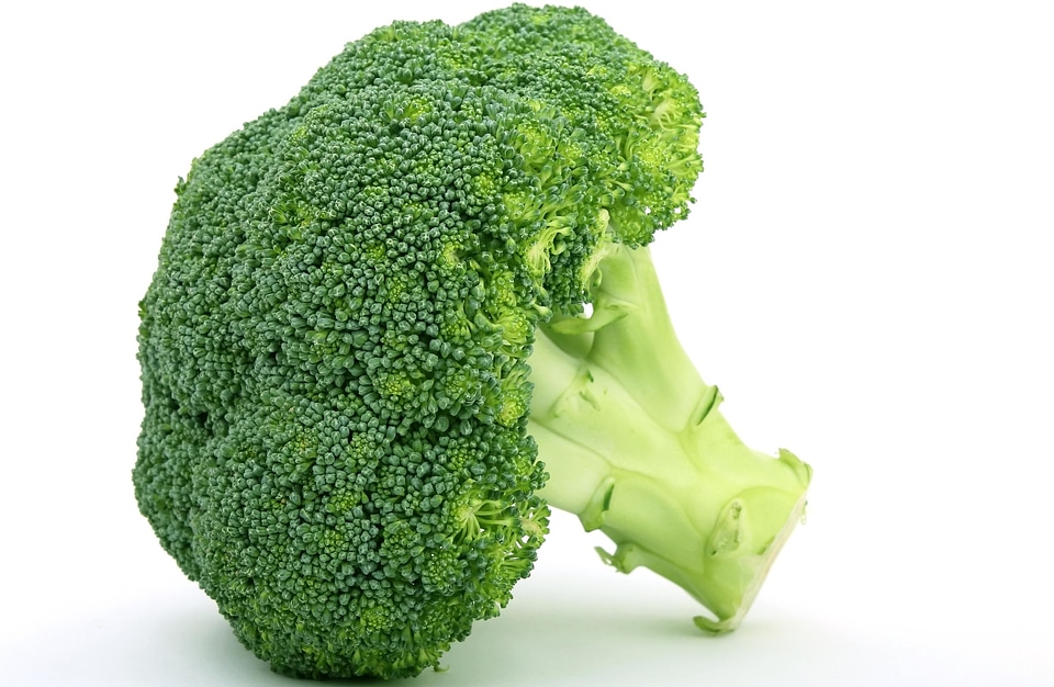 Beautiful Photo broccoli cabbage