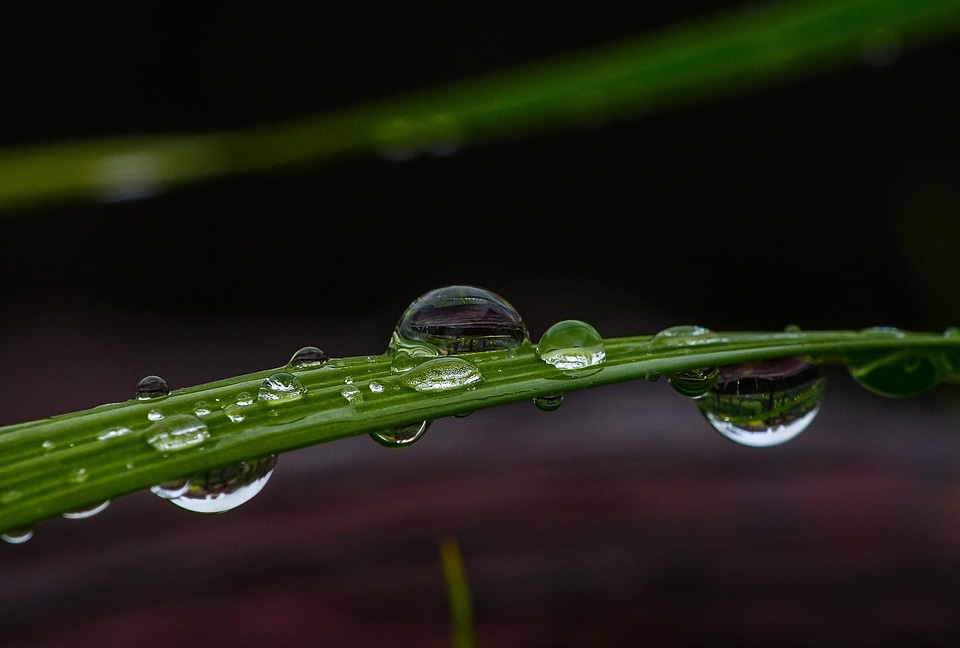 Beautiful Image beautiful photo condensation
