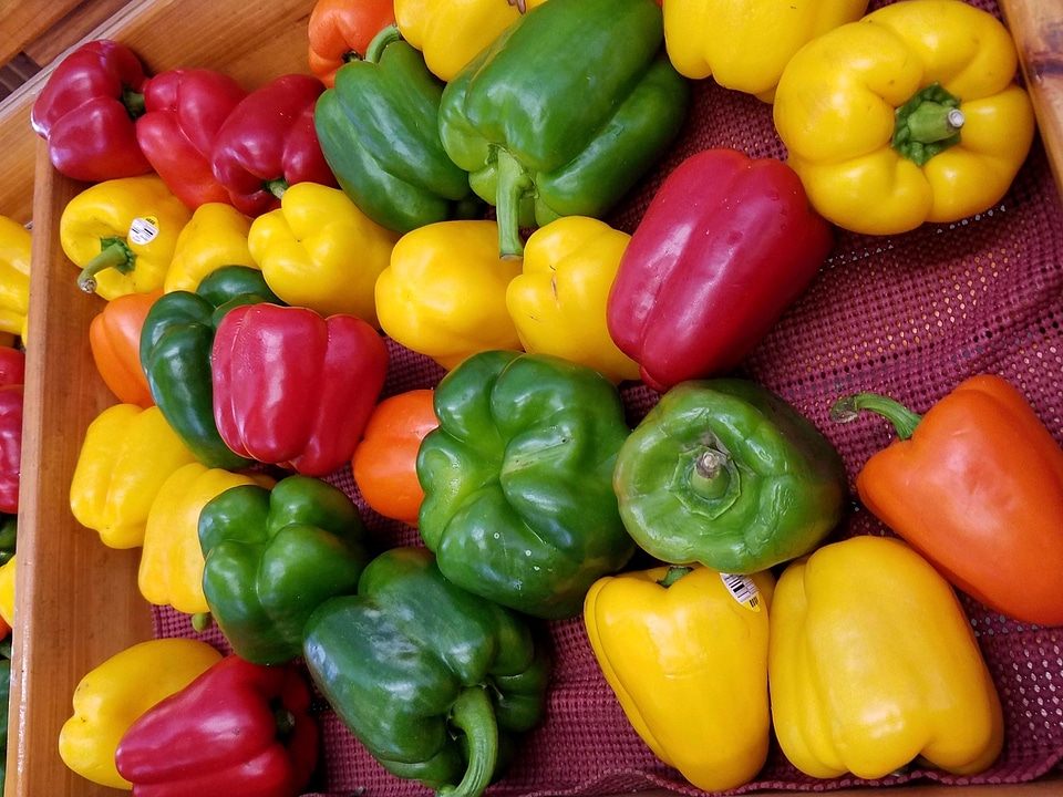 Agriculture beautiful photo bell pepper photo