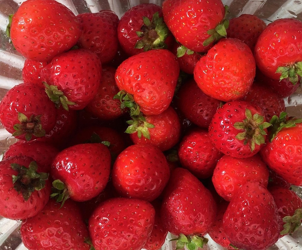 Agriculture berries berry