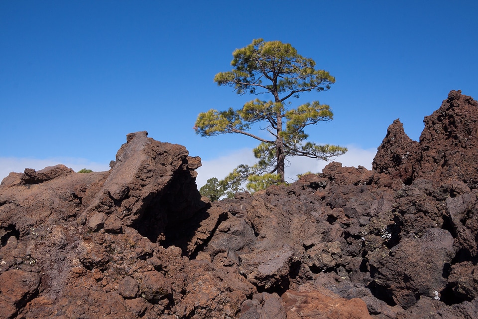 Boulders lunar landscape tenerife