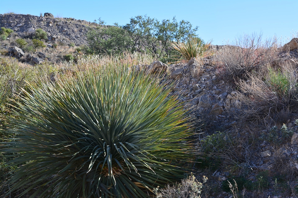 Landscape wilderness scenery