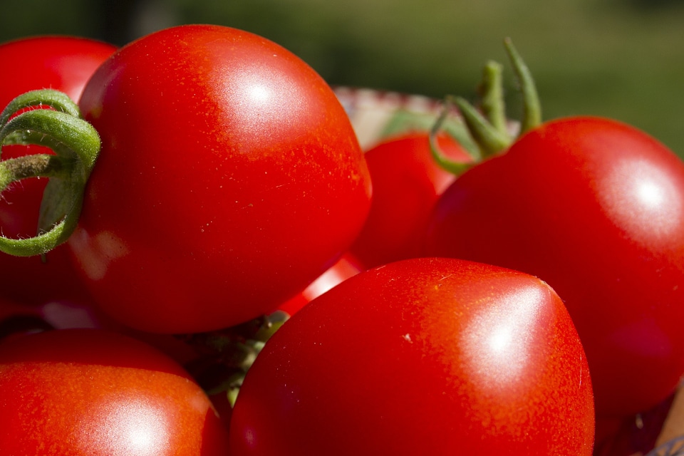 Ripe produce organic