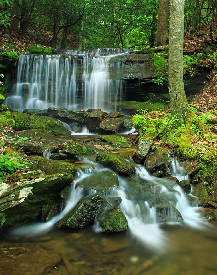 Creek fluid landscape