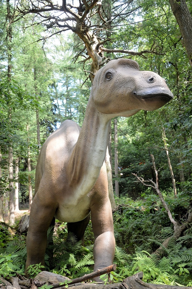 Reptile extinct predator