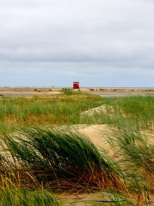 Coast farm field