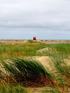 Coast farm field photo