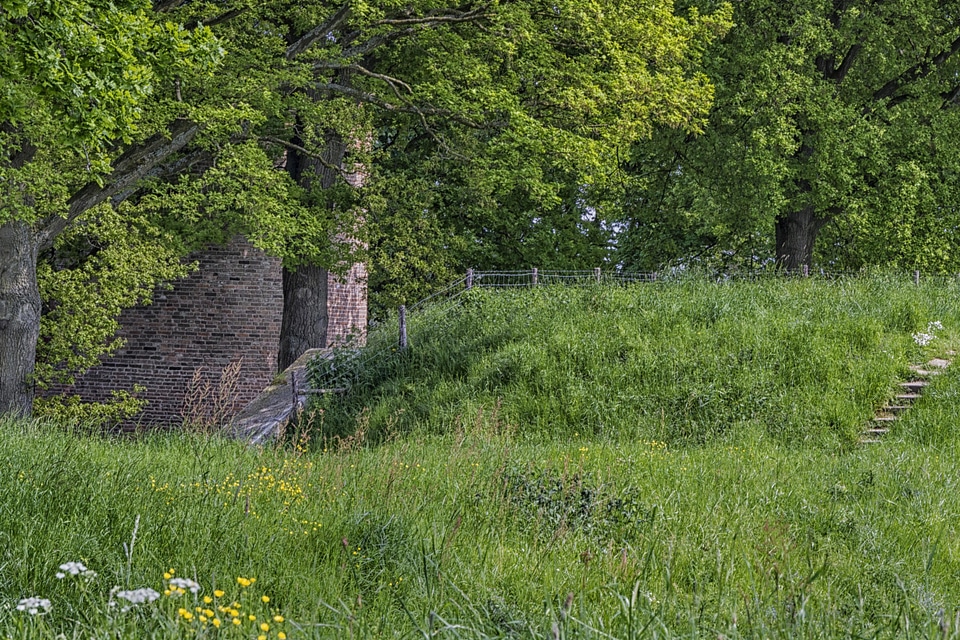 Branch countryside ecology