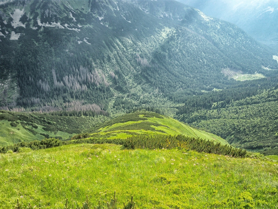 Mountains valley grass
