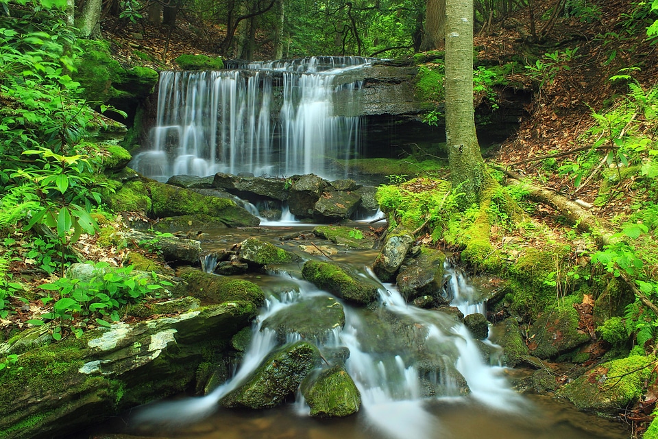Beautiful Photo creek environment