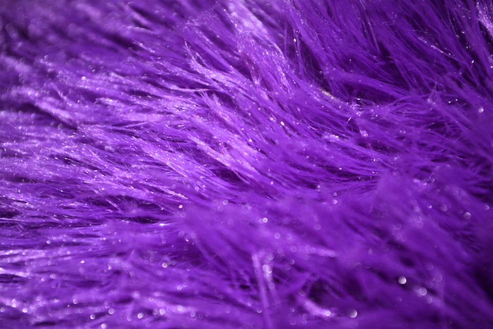 Texture textured design