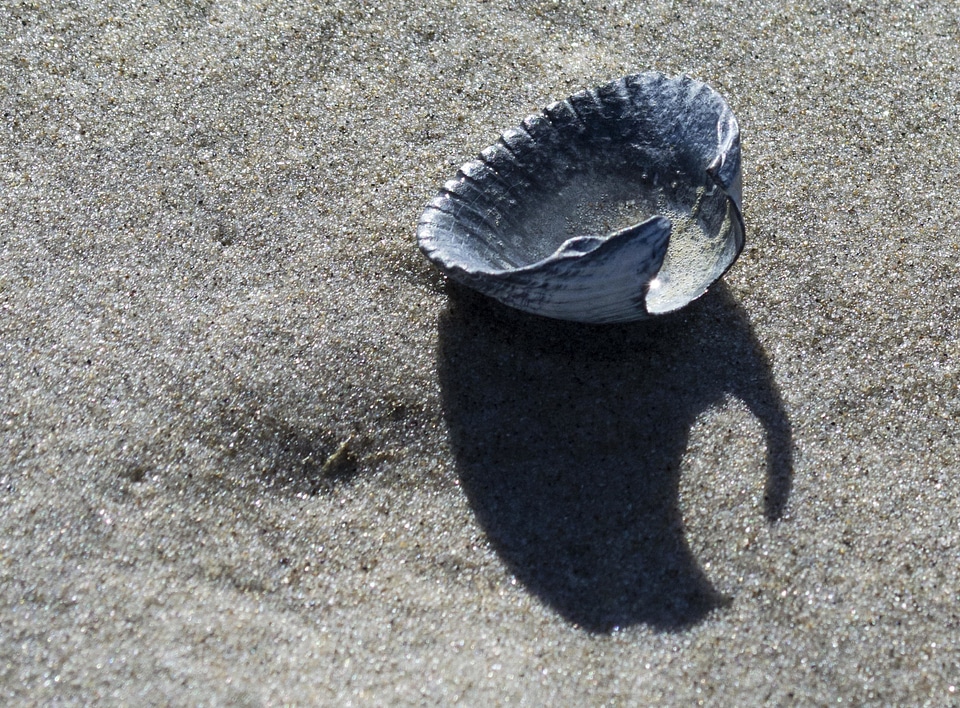 Beach environment ground