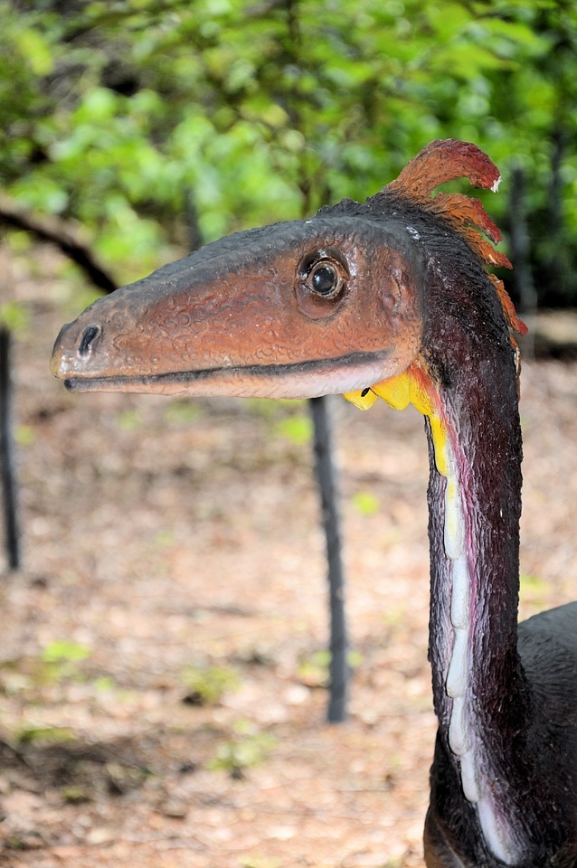 History reptile extinct