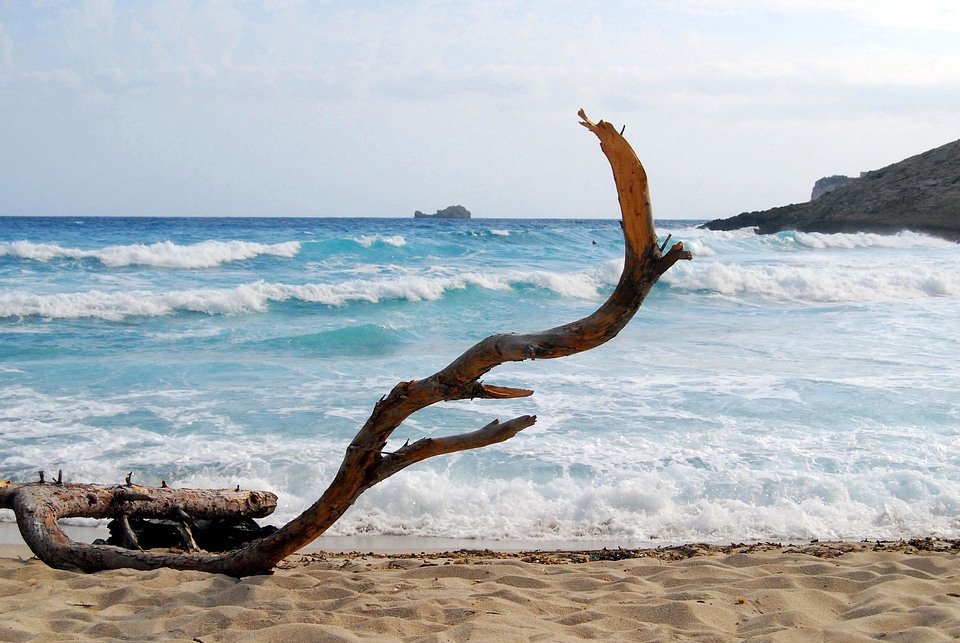 Beach coast coastline photo