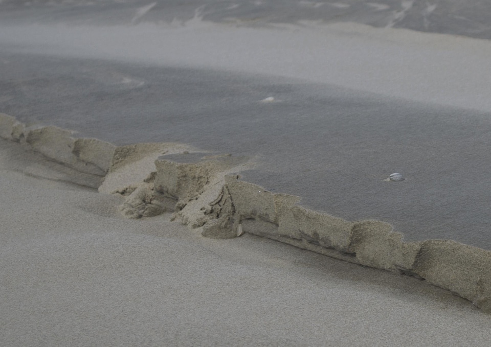 Beach landscape ocean