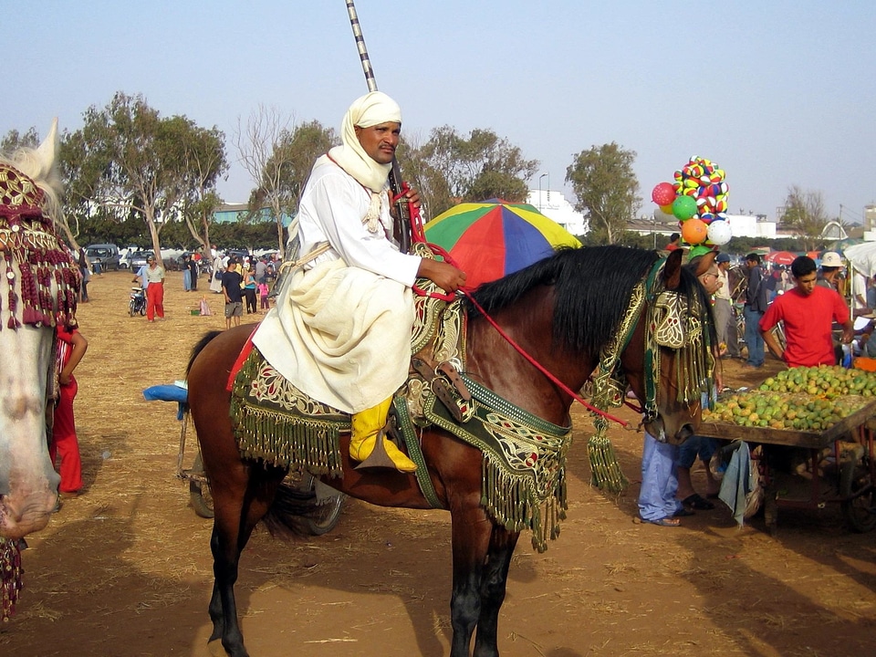 Cavalry ceremony costume