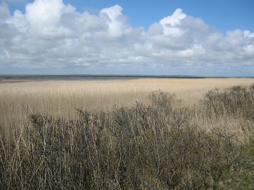 Agriculture cloud countryside