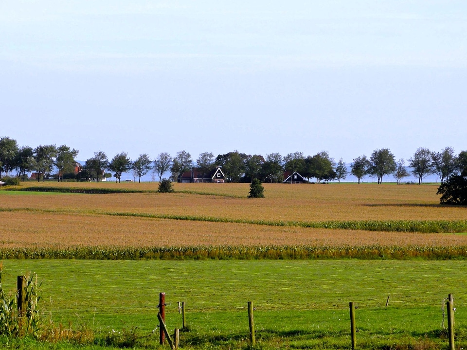 Agriculture countryside daylight photo