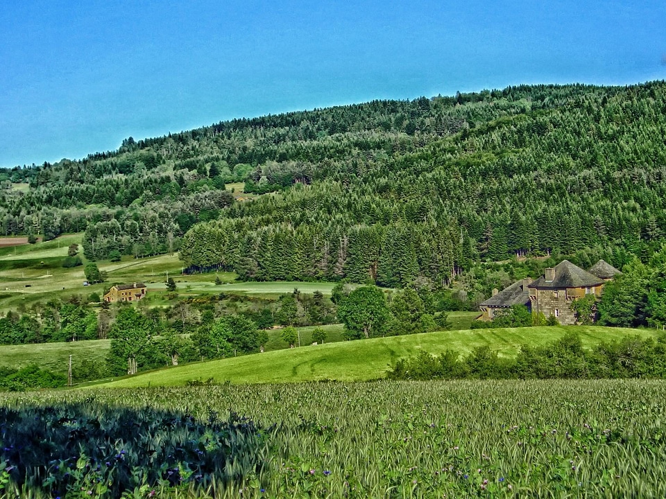 Agriculture countryside crops