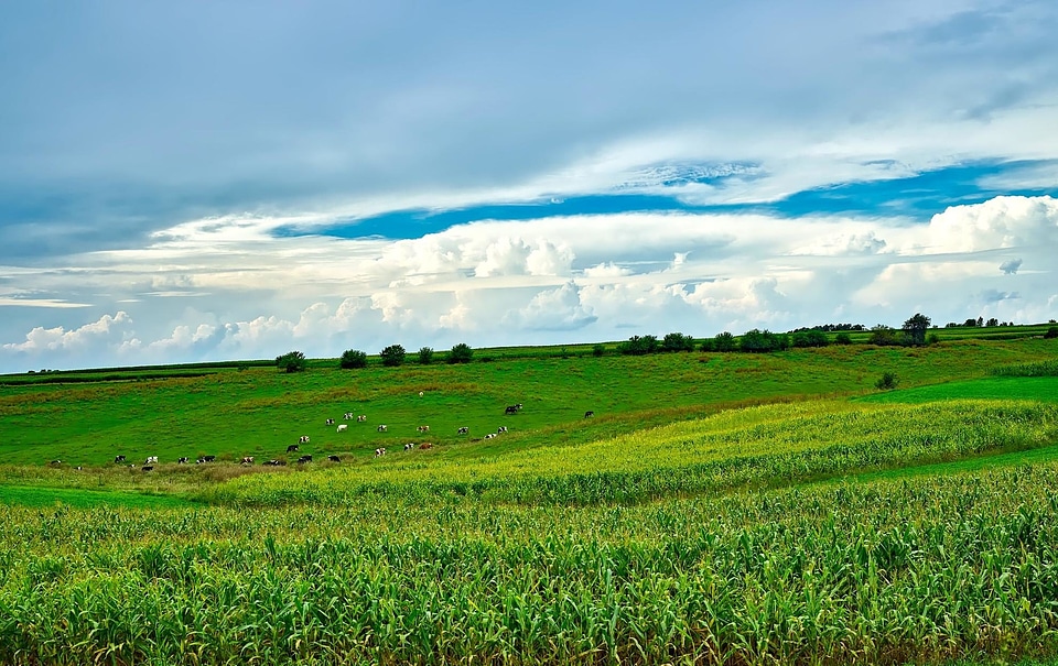 Agriculture cloud cloudy
