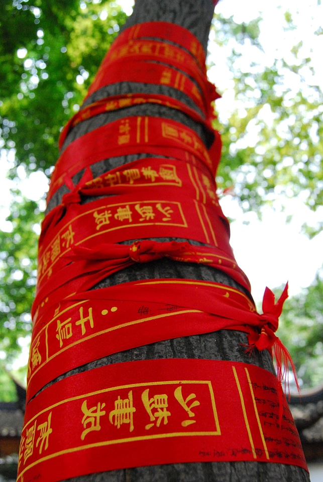 Culture emblem red