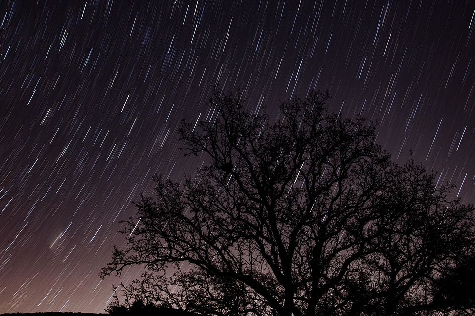 Dark landscape nature