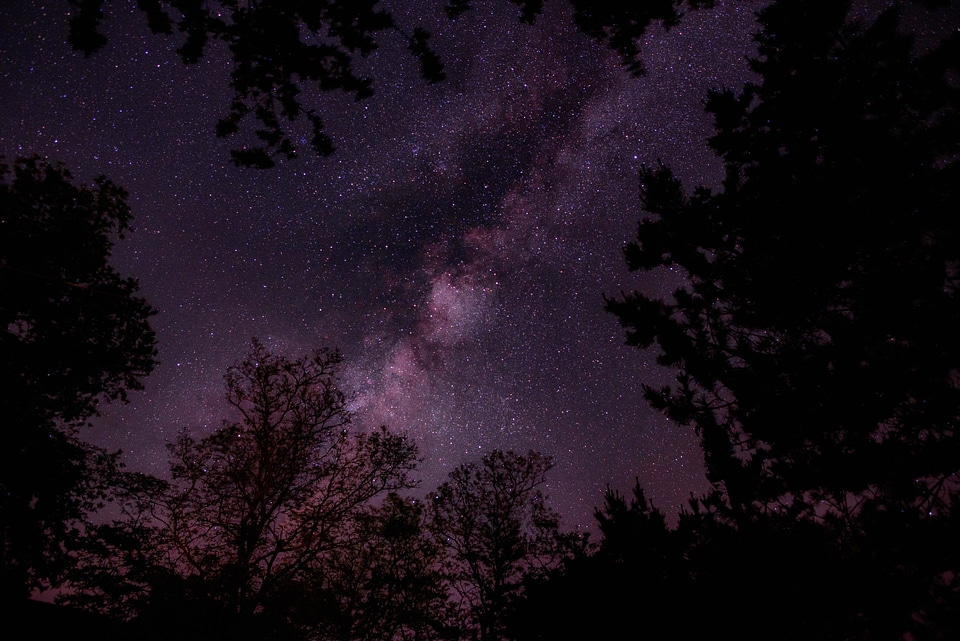 Dark nature night