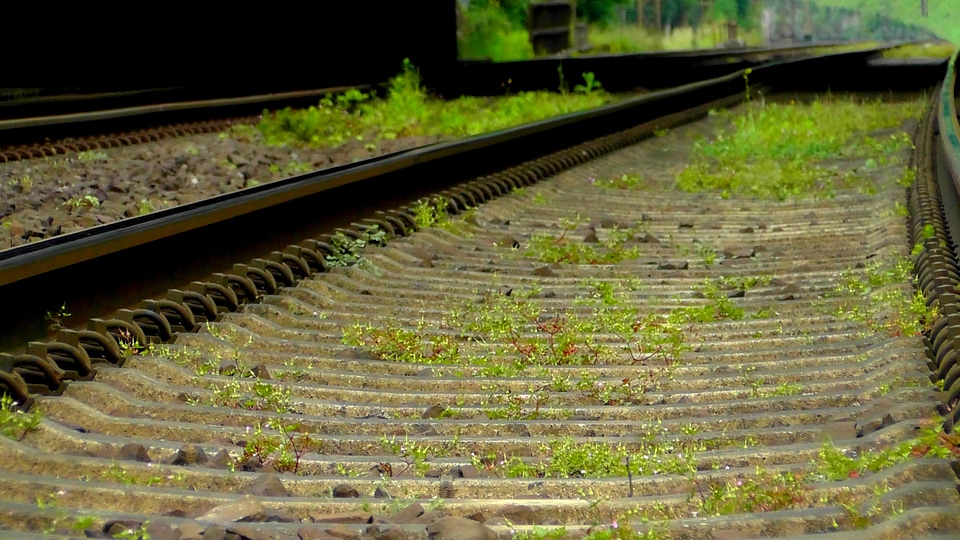 Zugfahrt travel rails