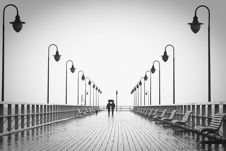 Architecture black and white bridge