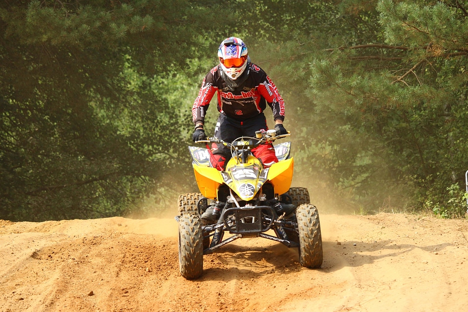 Action activity adventure