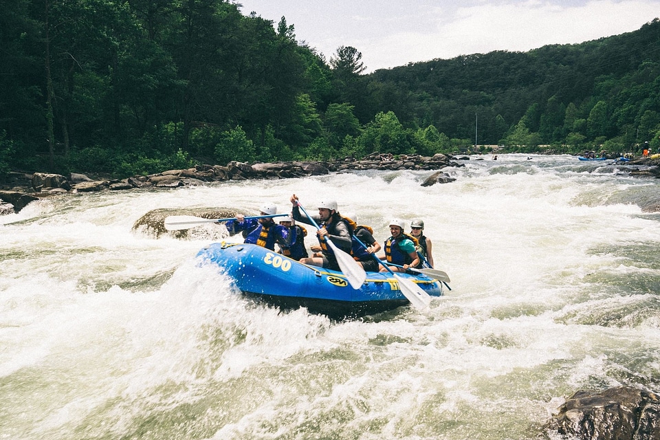Action activity adventure