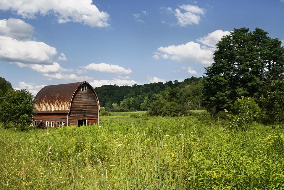 Agriculture barn countryside