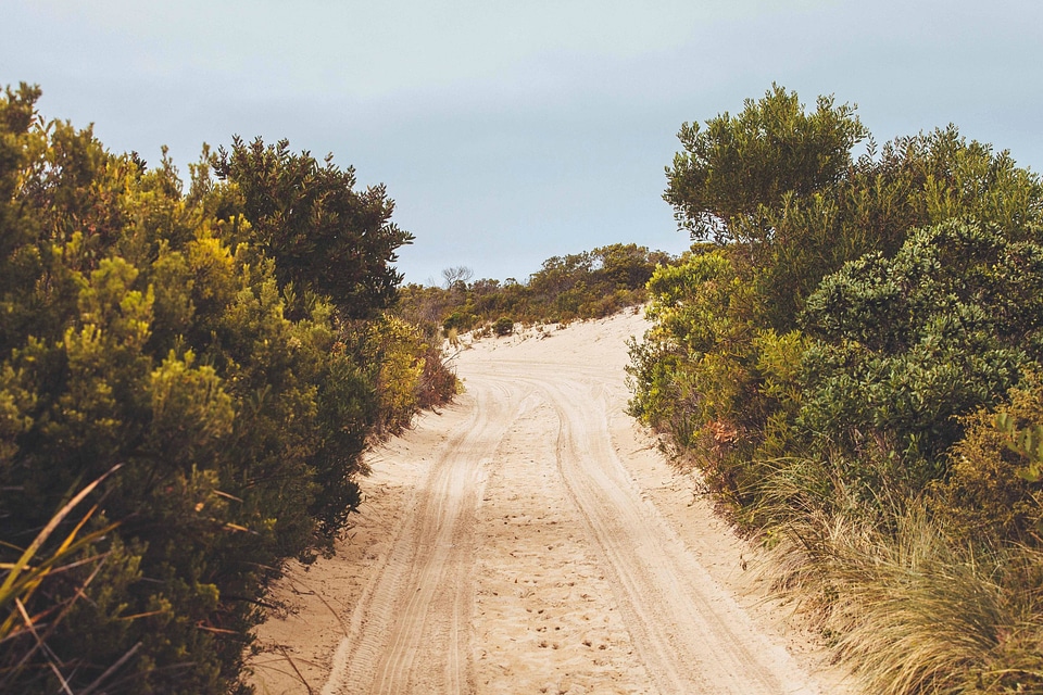 Landscape nature road