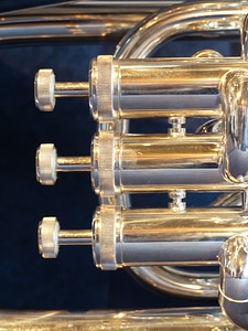 Sheet music musical instrument